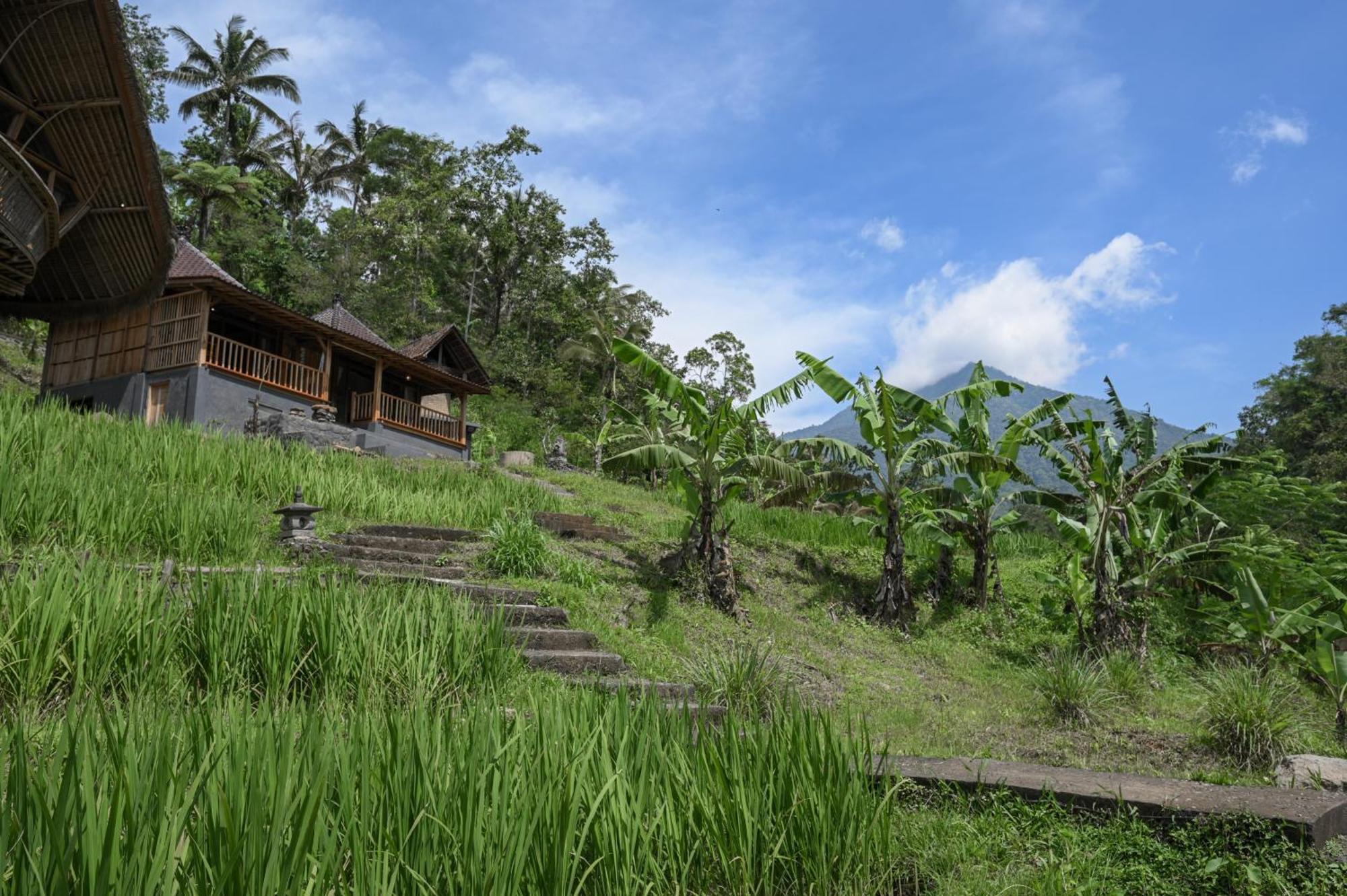 Keuma Villa & Resto Jatiluwih By The Lavana Εξωτερικό φωτογραφία